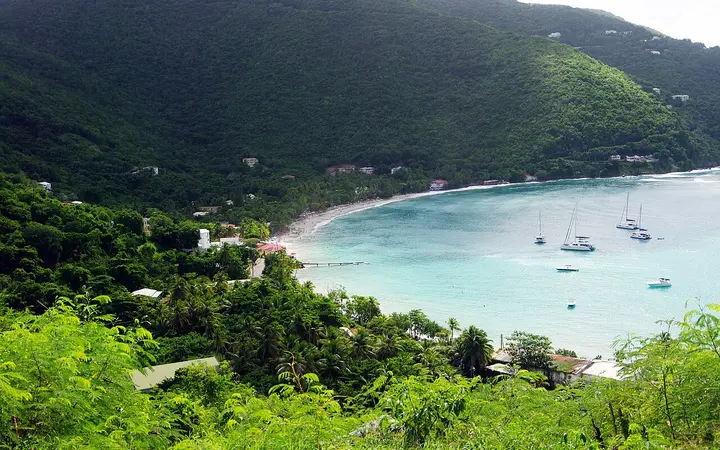 Cane Garden Bay seen from the forested hillside above, with yachts at anchor