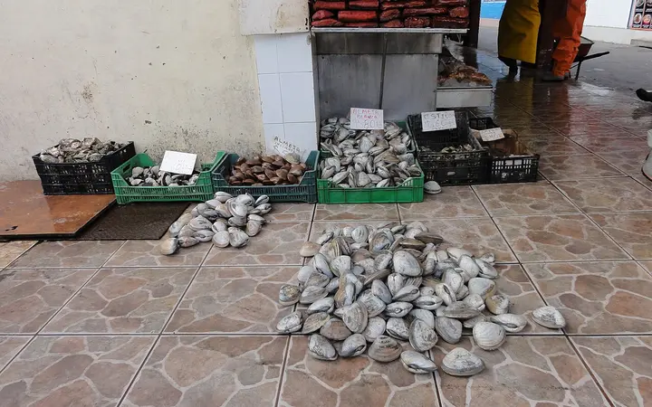 Clams and shellfish for sale at the Mercado Negro fish market