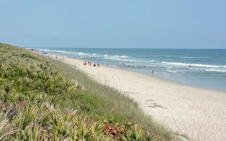 Wide sandy beach backed by palmetto-covered dunes at Canaveral National Seashore