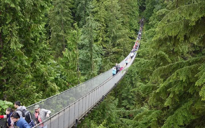 Capilano Suspension Bridge over a forested canyon
