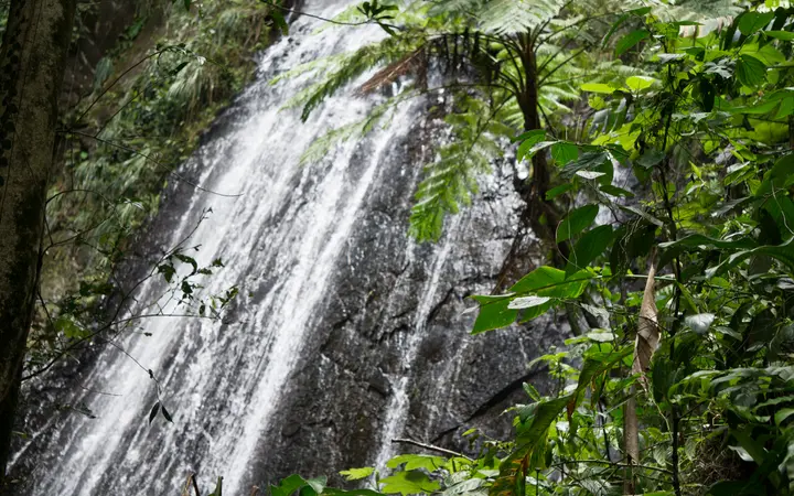 La Coca Falls cascading down a rock face surrounded by rainforest in El Yunque National Forest