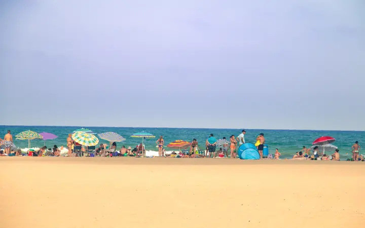 Sunbathers and umbrellas on Malvarrosa Beach, Valencia