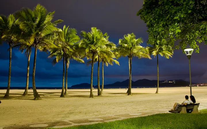 Palm trees and the beachfront garden at Gonzaga beach, Santos, at dusk
