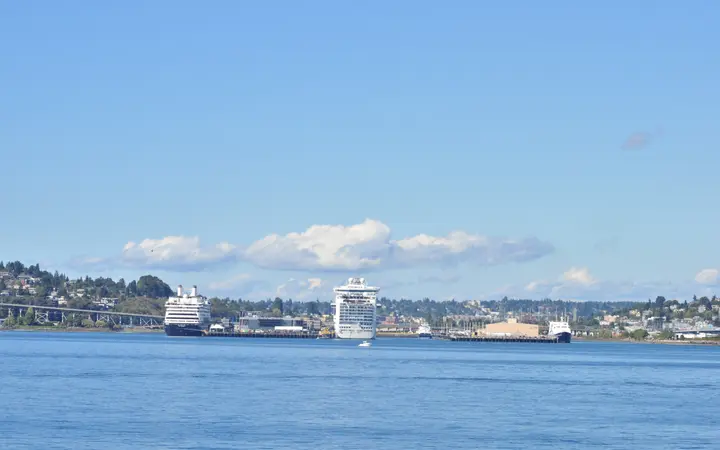 Two cruise ships docked at Piers 90-92 at Smith Cove, seen from Elliott Bay