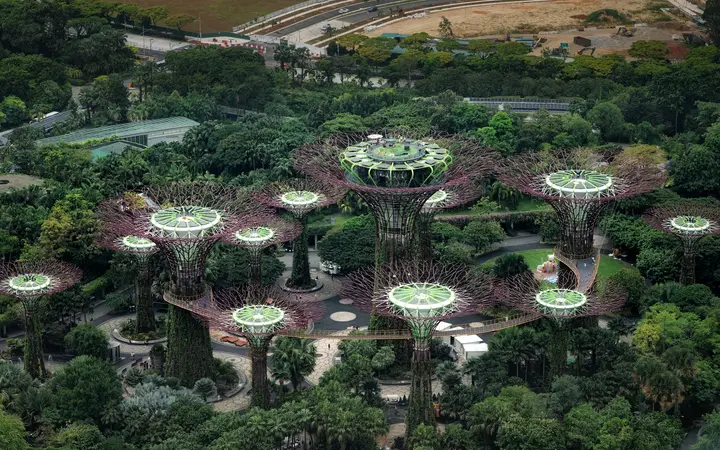 Aerial view of the Supertree Grove at Gardens by the Bay surrounded by tropical greenery