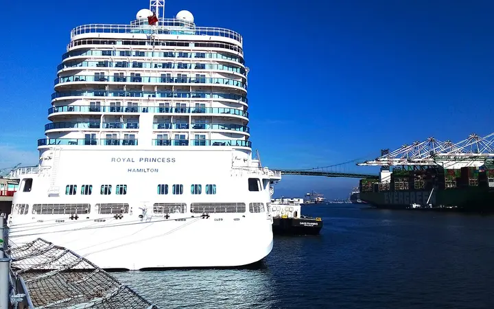 A Princess cruise ship docked at the World Cruise Center in San Pedro