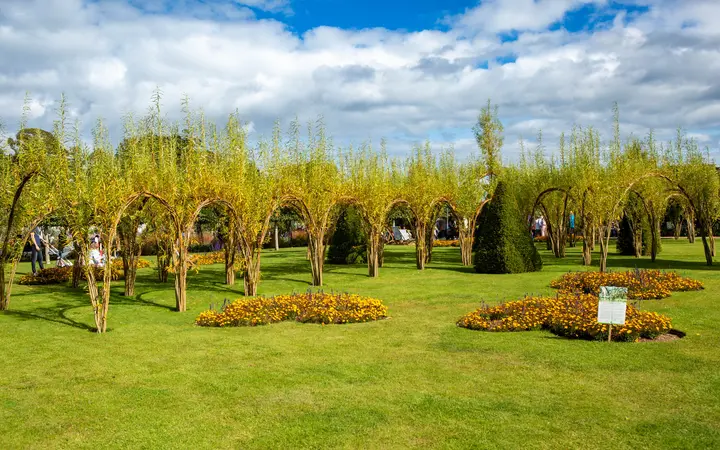 Flower beds and trained trees in Bangor Castle Walled Garden on a sunny day
