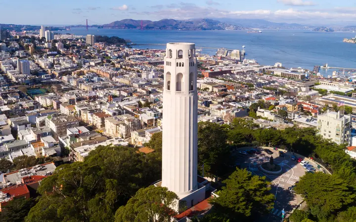 Coit Tower rising above the trees of Telegraph Hill, with San Francisco and the bay spread out behind