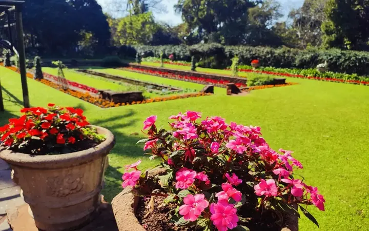 Pink and red flowers in stone pots above lawns and flower beds at Durban Botanic Gardens on a sunny day
