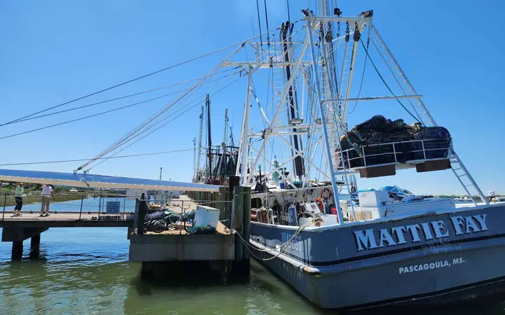 Shrimp boat docked at the Mayport waterfront under a blue sky