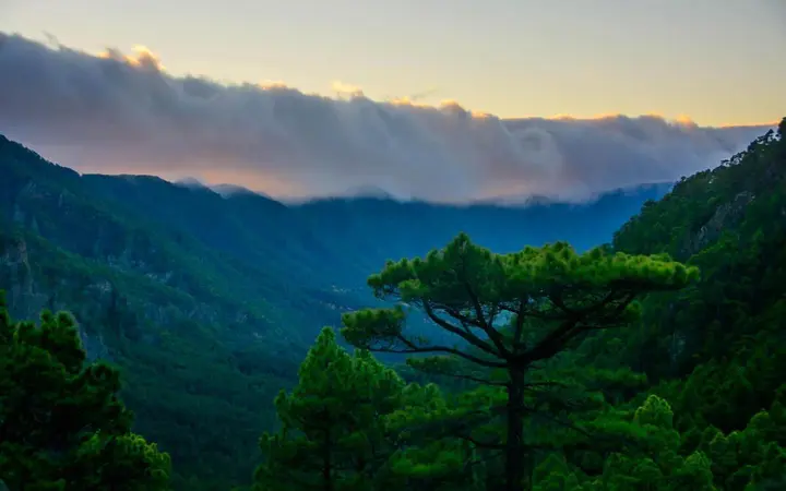 Pine-covered ridges inside the Caldera de Taburiente seen from La Cumbrecita, with clouds spilling over the rim.