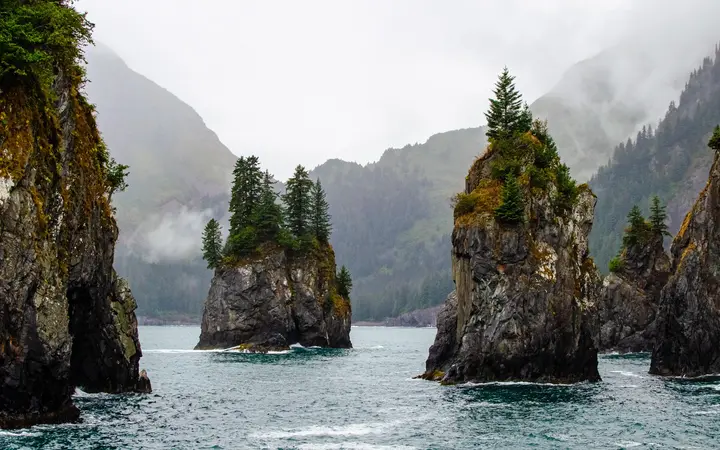 Forested sea stacks rising from calm water below misty mountains in Kenai Fjords National Park